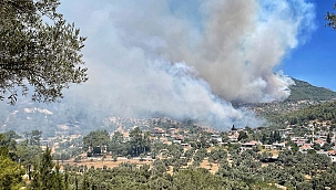 Muğla'da yangınlar denetim altına alınmaya çalışılıyor