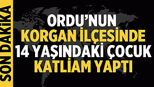 Ordu'nun Korgan ilçesinde 14 yaşındaki çocuk katliam yaptı