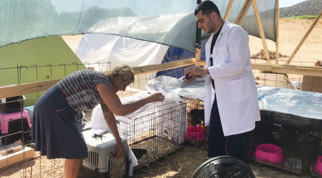 Patübüs sevimli canlara destek oluyor