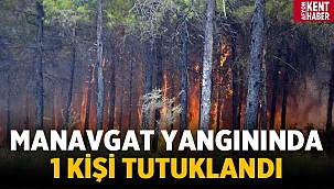 Son dakika: Manavgat yangını ile ilgili 1 kişi tutuklandı