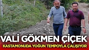 Vali Gökmen Çiçek, Kastamonu'da yoğun tempoyla çalışıyor! 