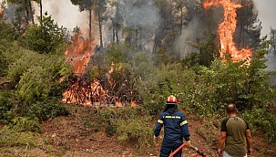 Yunanistan'da orman yangınına orduda müdahale edecek