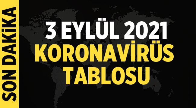 Koronavirüs'de 3 Eylül 2021 haritası! 