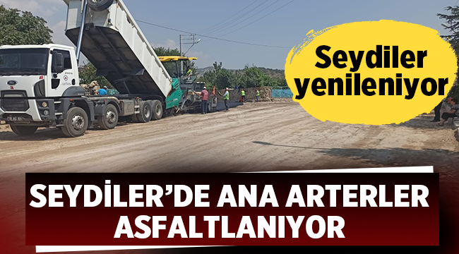 Seydiler'de ana arterler asfaltlanıyor