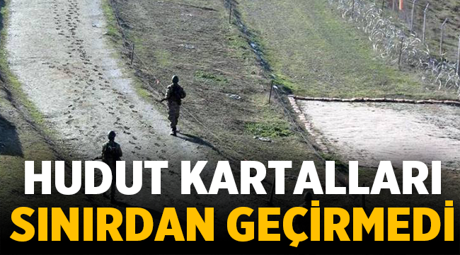 Türkiye'ye yasa dışı yollarla girmeye çalışan 13 kişi yakalandı