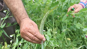 Bu projeden 2 bin 700 çiftçi yararlanacak