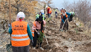 Ali Dağı’nda 20 bin ağaç toprakla buluştu