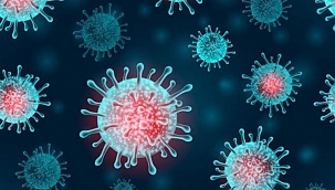 Omicron ( Nu) Varyantı tehlikeli boyutlara ulaştı.