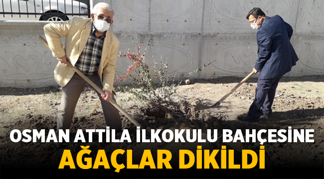 Osman Attila İlkokulu bahçesine ağaçlar dikildi! 