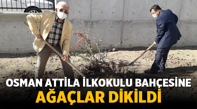 Osman Attila İlkokulu bahçesine ağaçlar dikildi!