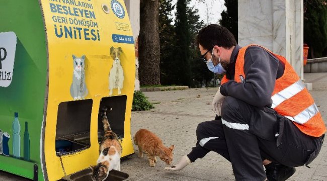Yıldırım Belediyesi can dostları yalnız bırakmıyor!