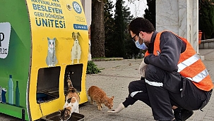 Yıldırım Belediyesi can dostları yalnız bırakmıyor! 