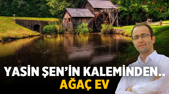 Ağaç Ev - Yasin ŞEN 