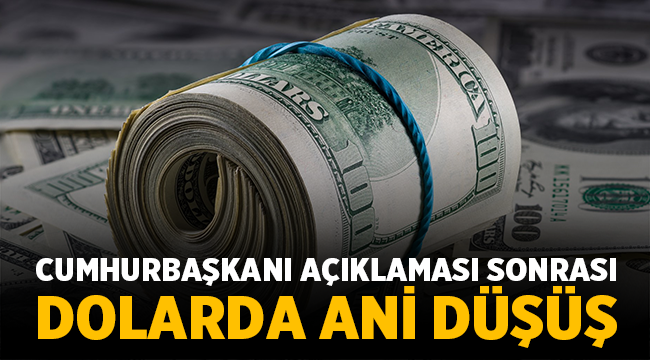 Cumhurbaşkanı Erdoğan'ın açıklaması sonrası dövizde sert düşüş! 