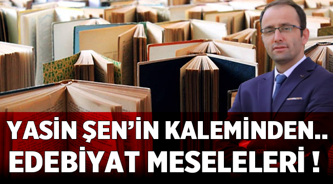 Edebiyat Meseleleri - Yasin Şen 