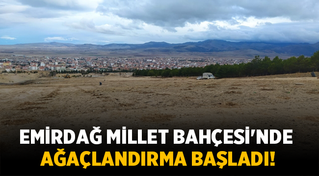 Emirdağ Millet Bahçesi'nde ağaçlandırma başladı!