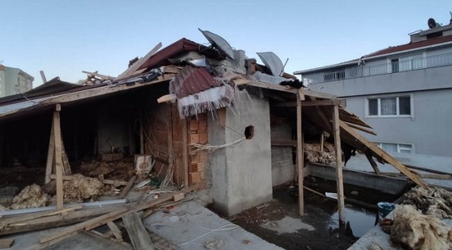 Fırtına kaynaklı hasarlara TÜSED açıklaması
