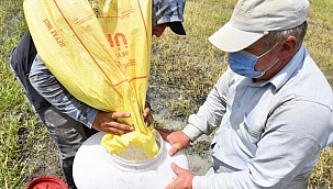 Gübre fiyatında indirim yapıldı!