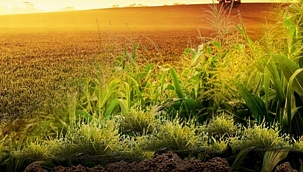 Gübre fiyatlarına indirim geldi