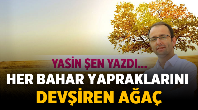 Her bahar yapraklarını devşiren ağaç - Yasin Şen