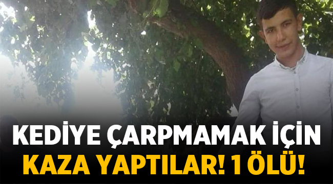 Kediye çarpmamak için kaza yaptılar! 1 ölü!