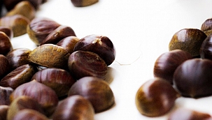 Kestane dışalımında çifte sevinç yaşanıyor