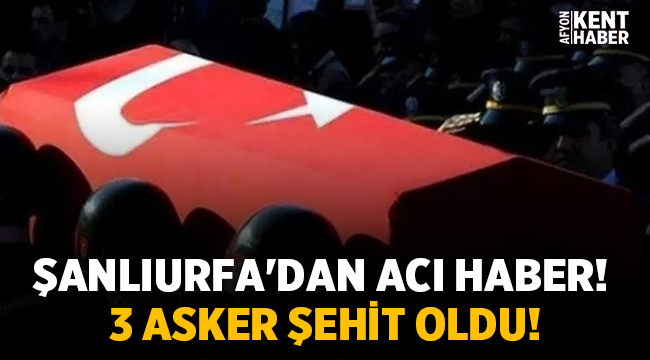 Şanlıurfa'dan acı haber! 3 asker şehit oldu