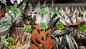 Vatandaşın en sık tercih ettiği balık çeşitleri!