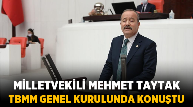 Taytak, Türkiye Büyük Millet Meclisi Genel Kurulu'nda konuşma yaptı
