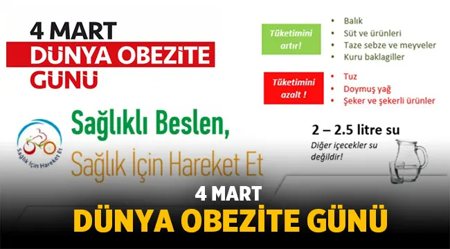 Obezite Nedir? Obezitenin Nedenleri nelerdir?