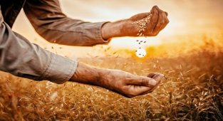 BUSİAD Uzmanlık Grupları, sektörlere yönelik ilk çalışmasını yayınladı