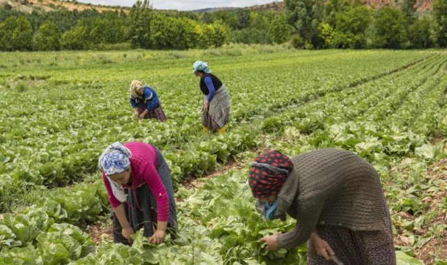 Tazedirekt, Migros Kadın Akademisi İle Kadın Kooperatiflerinin Lezzet Dolu Dünyası
