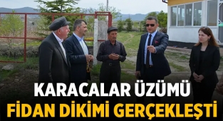 Emirdağ'da Karacalar Üzümü Fidan Dikimi Gerçekleşti 