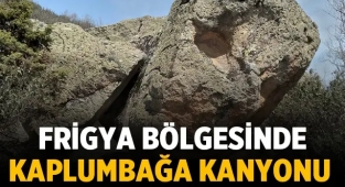 Frigya Bölgesinde Kaplumbağa Kanyonu 