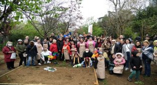 Kadıköy'de bostanlar çoğalıyor! 