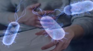 Salmonella bakterisi endişe vermeye devam ediyor