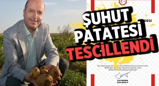 'Şuhut Patatesi'nin coğrafi işaret tescili yapıldı 