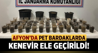 Afyon'da Pet bardaklarda kenevir ele geçirildi