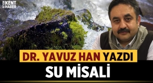 Dr. Yavuz Han kaleminden: Su Misali