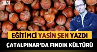 Yasin Şen yazdı: Çatalpınar'da Fındık Kültürü