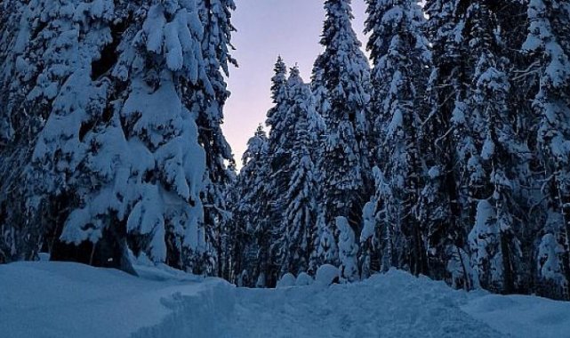 En canlı gece fotoğrafları için 7 ipucu!
