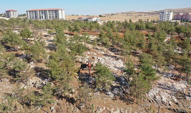 Şanlıurfa yeşile bürünecek