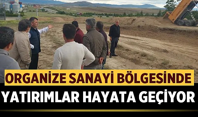 Türkiye'nin ilk modern Toz Yumurta Tesisi inşaatı başladı