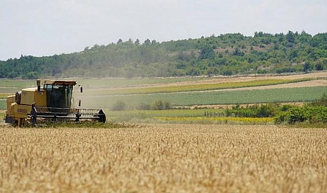 Başkan Gerenli’den buğday hasadı! “40 ton buğday halk için un olacak!”