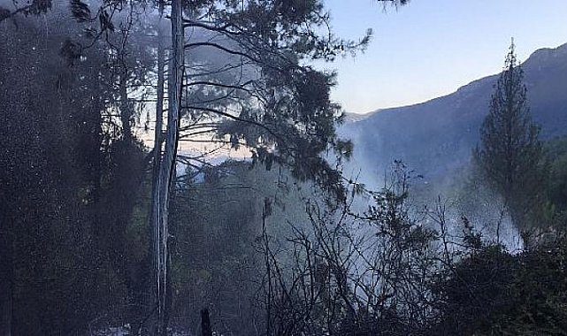 Kemer’de Çıkan Orman Yangını Büyümeden Kontrol Altına Alındı