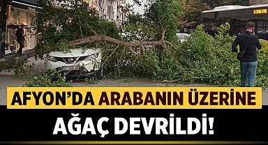 Afyon'da arabanın üzerine ağaç devrildi