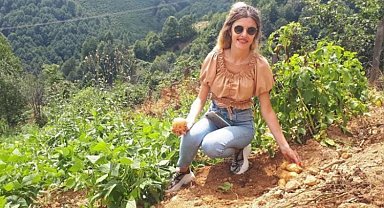 Çiftçiler patates üretimine yöneldi