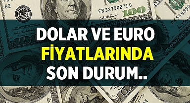 Dolar ve Euro ne kadar?