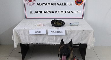 Jandarmanın göz bebeği Yufka'dan zehir tacirlere süpriz