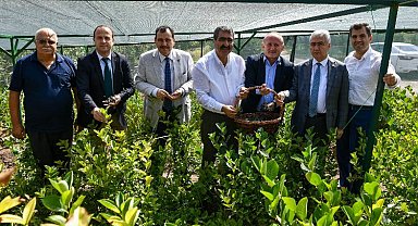 Mucize meyve aronya ikinci hasadını verdi